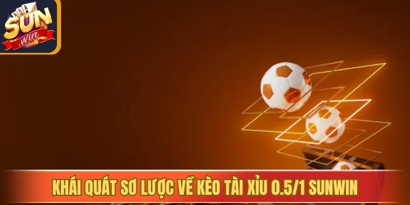 Khái quát sơ lược về kèo tài xỉu 0.5/1 Sunwin
