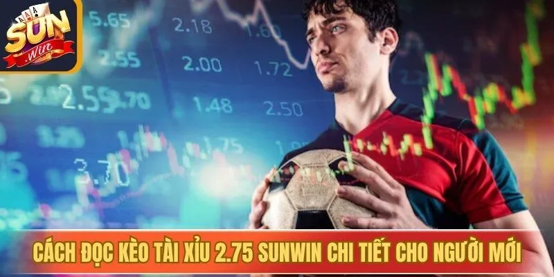 Cách đọc kèo tài xỉu 2.75 Sunwin chi tiết cho người mới 