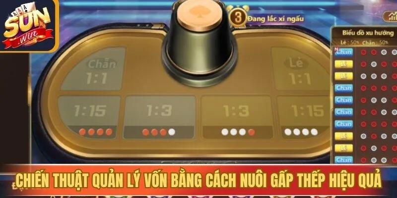 Chiến thuật quản lý vốn bằng cách nuôi gấp thếp hiệu quả